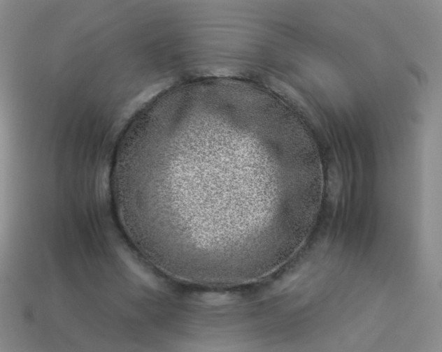 X0000114010394200910161738