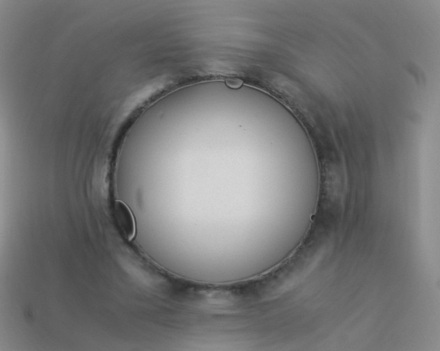 X0000114010395200910161738