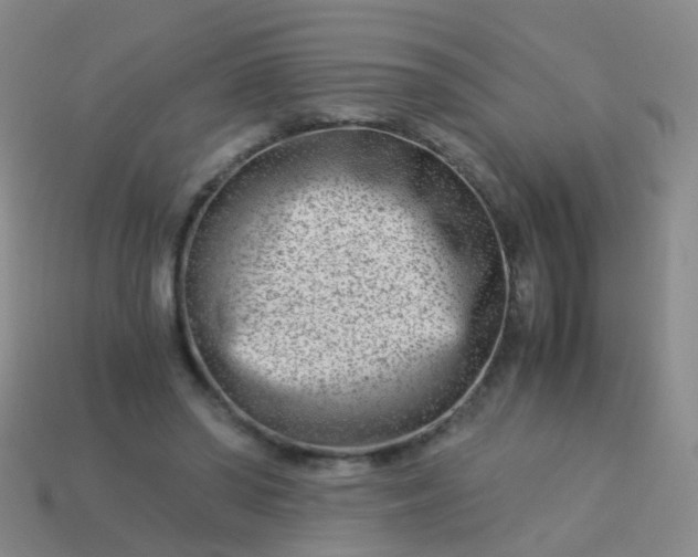 X0000114010398200910161738