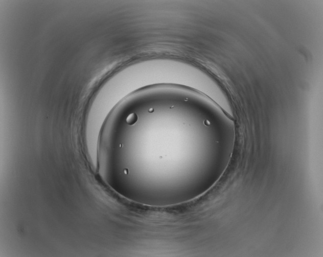 X0000114010399200910161738