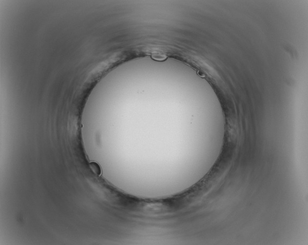 X0000114010401200910161738