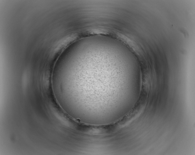 X0000114010402200910161738