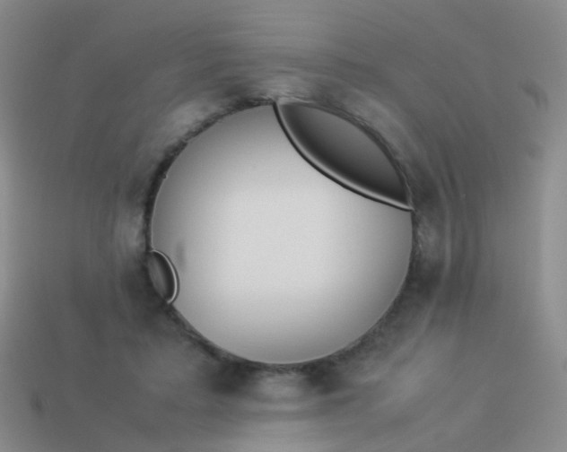 X0000114010403200910161738