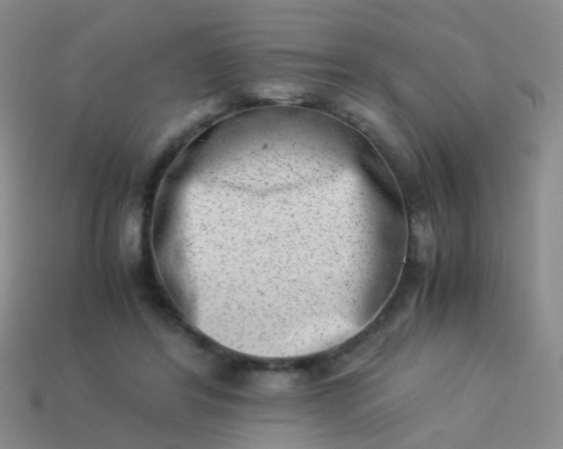 X0000114010404200910161738