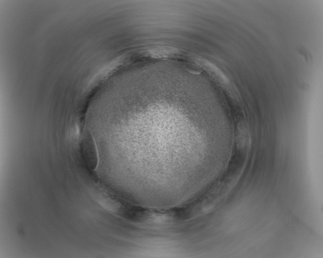 X0000114010405200910161738