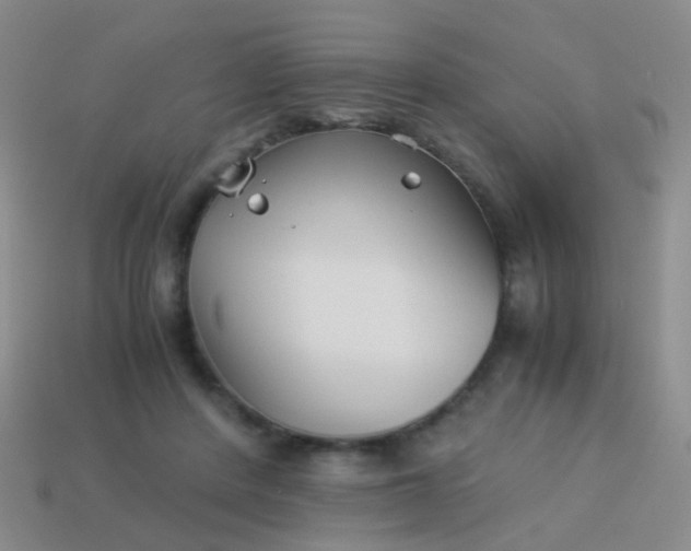 X0000114010408200910161738