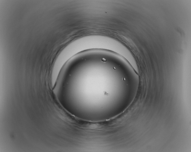 X0000114010409200910161738