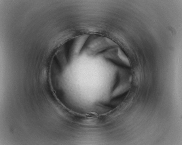 X0000114010410200910161738