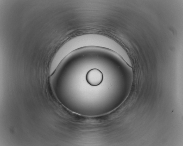 X0000114010413200910161738