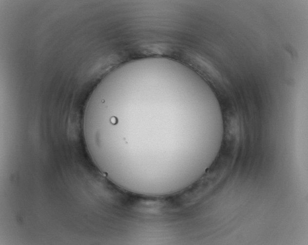 X0000114010414200910161738