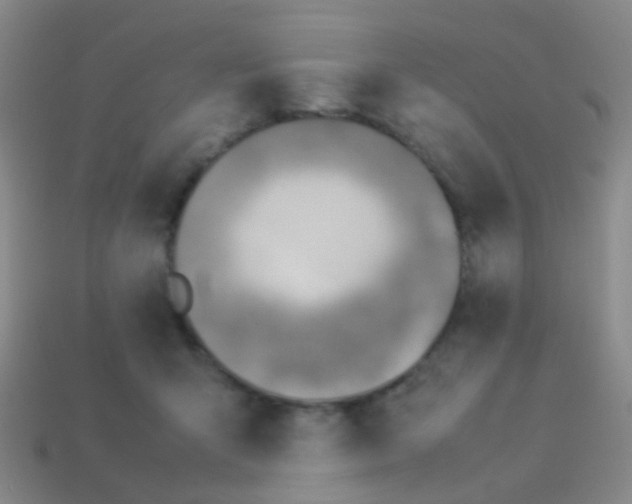 X0000114010415200910161738