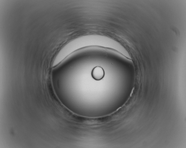 X0000114010417200910161738