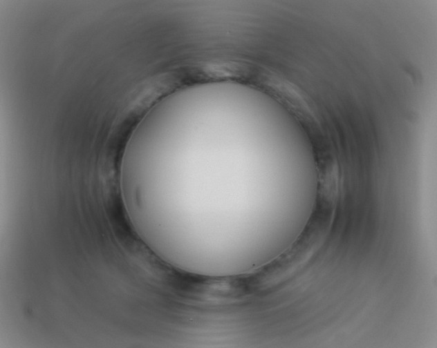 X0000114010418200910161738