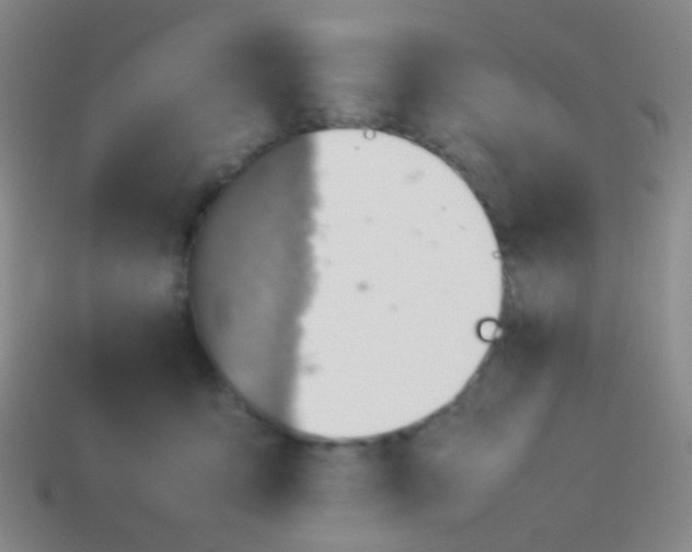 X0000114010419200910161738