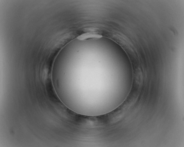 X0000114010420200910161738