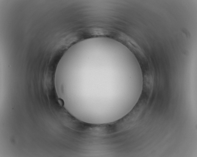 X0000114010422200910161738