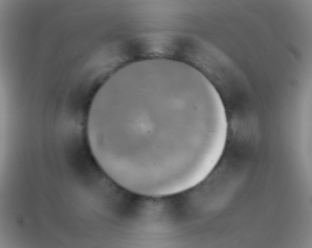 X0000114010423200910161738