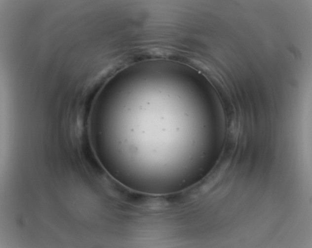 X0000114010424200910161738