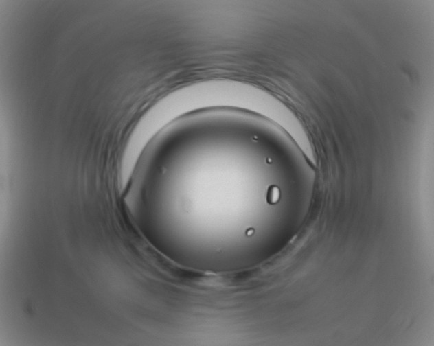 X0000114010425200910161737