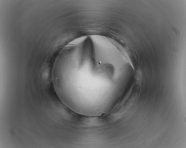 X0000114010428200910161737