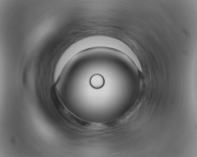 X0000114010429200910161737