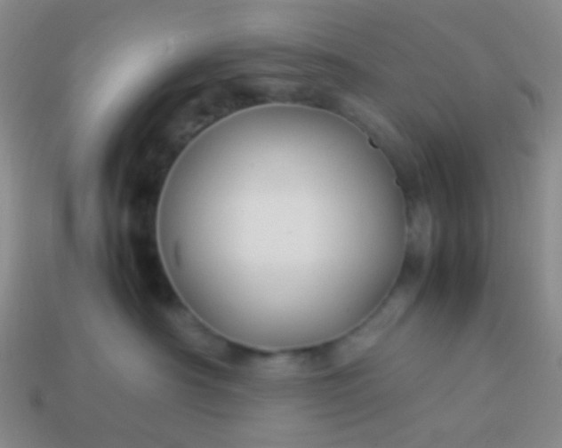 X0000114010430200910161737