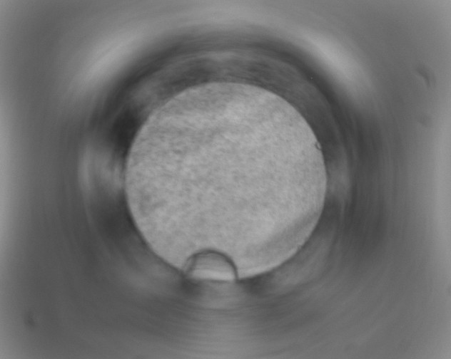 X0000114010431200910161737