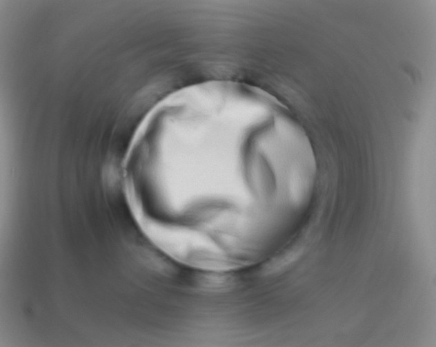 X0000114010432200910161737