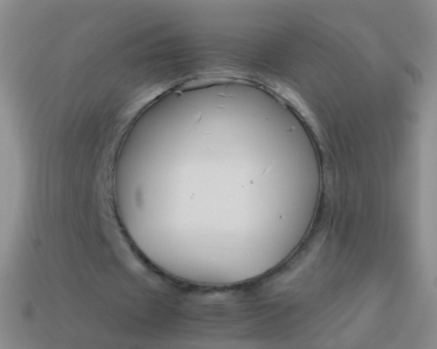 X0000114010433200910161737