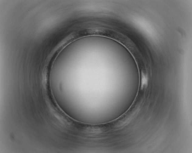 X0000114010435200910161737