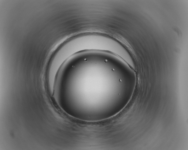 X0000114010436200910161737