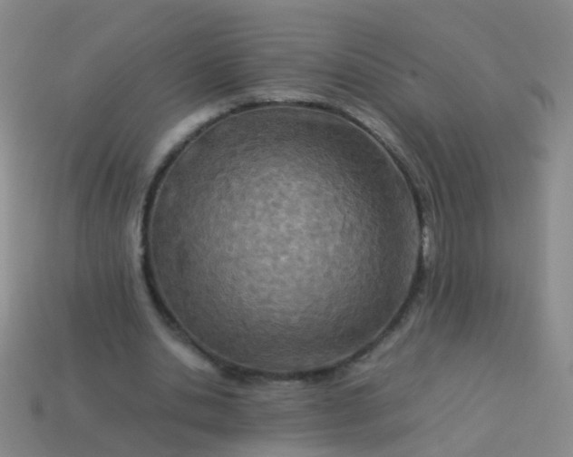 X0000114010438200910161737