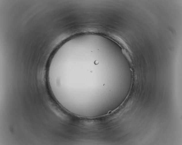 X0000114010439200910161737