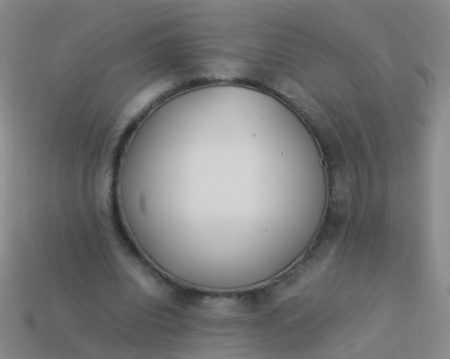 X0000114010440200910161737