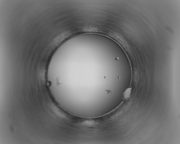 X0000114010441200910161737