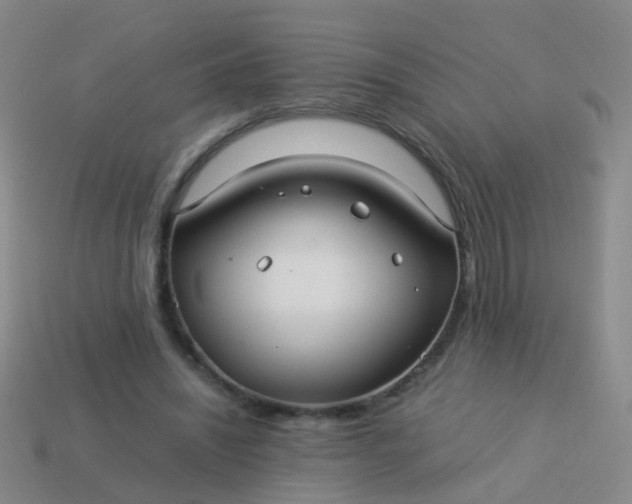 X0000114010444200910161737