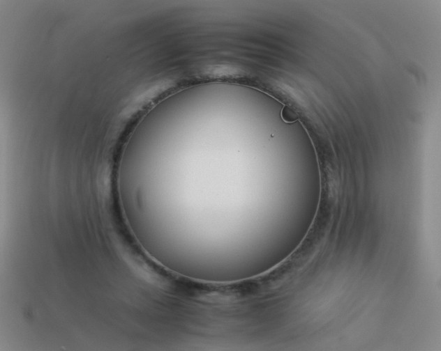 X0000114010447200910161737