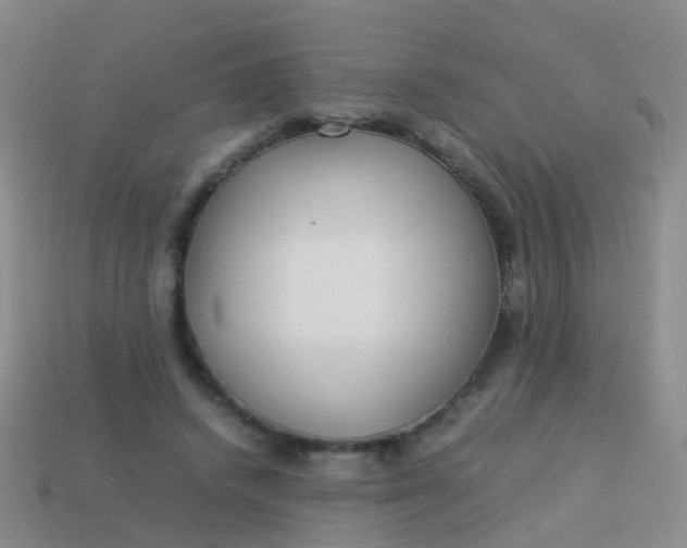 X0000114010448200910161737