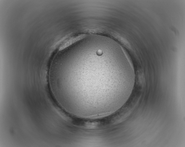 X0000114010450200910161737