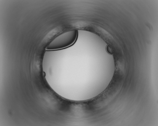 X0000114010452200910161737