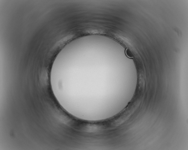 X0000114010453200910161737