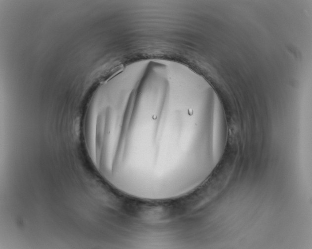 X0000114010454200910161737