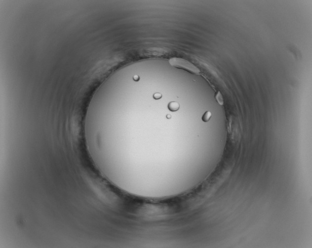 X0000114010455200910161737