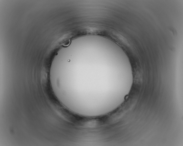 X0000114010456200910161737