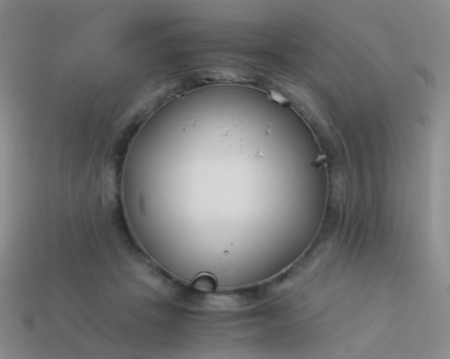 X0000114010457200910161737