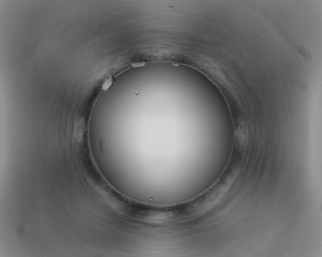 X0000114010458200910161737