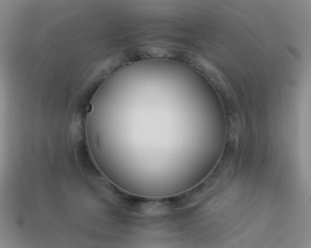 X0000114010465200910161737