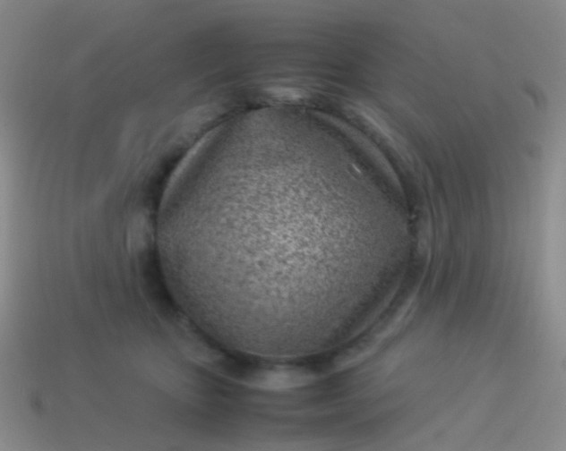 X0000114010467200910161737