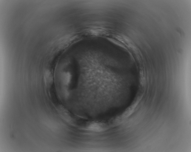 X0000114010471200910161737