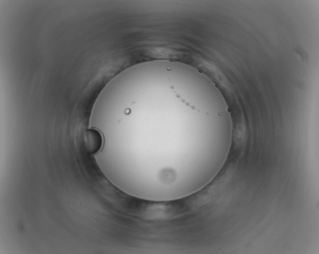 X0000114010473200910161737